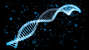 Neanderthals-DNA-covid-19-impact.jpg