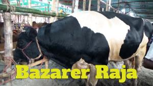 Bazarer Raja 1.jpg