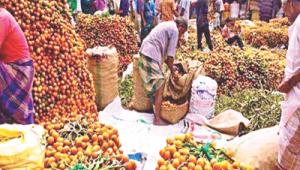 Betel nuts.jpg