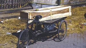 coffin.jpg