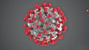 corona virus.jpg