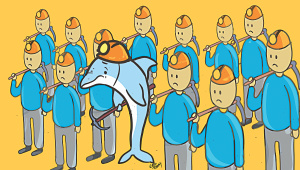 Dolphins.jpg