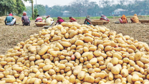 food-security-post-pandemic-Bangladesh.jpg