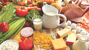 foods.jpg