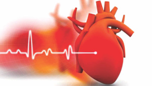 heart.jpg