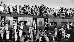 migration