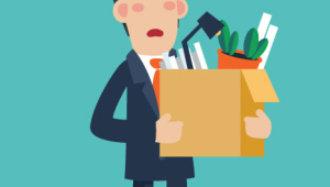 new job.png