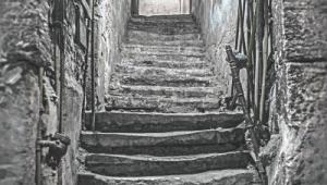 The Basement