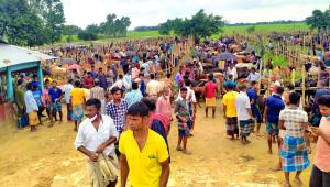lockdown-paper-cattle-market.jpg