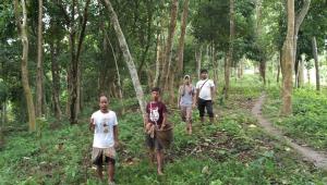 social-forestry-2.jpg