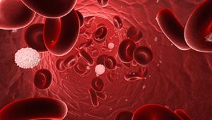blood-cancer.jpg