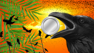 crow.png