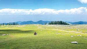 kashmir1.jpg