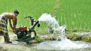 Bangladeshi farmers