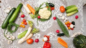 healthy diet plans
