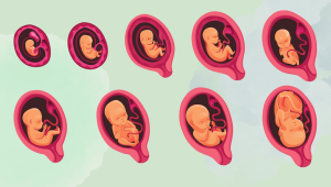 prenatal_care.png