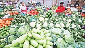 vegetable.jpg