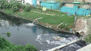 Pollution of rivers