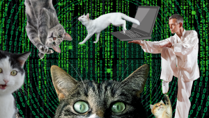 facebook_thumbnail_7_1.png