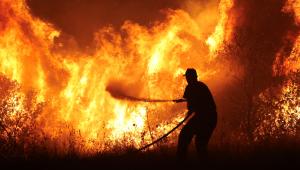 Greece wildfires 2023