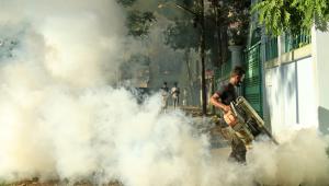 Dengue death today