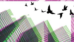 illustrations_8.jpg