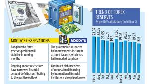 Forex position to stabilise in next few months: Moody's