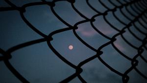 img_3187.jpg