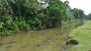 nilphamari.jpg