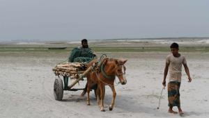 Rethinking char development in Bangladesh