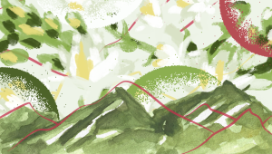Graphical representation of the fleeting nature of spring