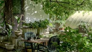Jazz up your garden this summer with these simple tricks!