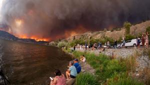 Wildfire