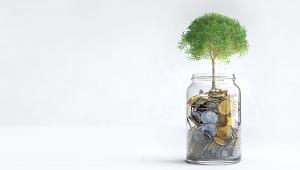 tree-grows.jpg
