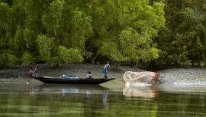 Sustainable tourism is Bangladesh’s untapped engine for growth