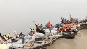 illegal_hilsa_fishing.jpeg