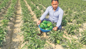 modern-farmer-belal-ahmed-imran.jpg