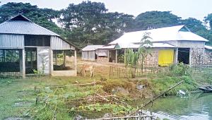 rural.jpg