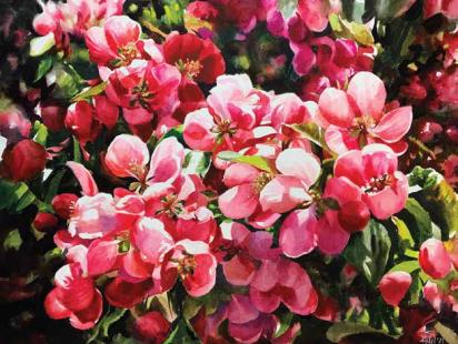 cherry_blossoms_-_2.jpg