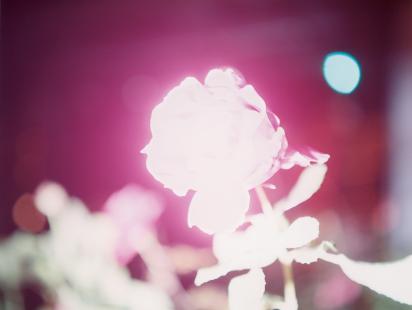 rinko_kawauchi.jpg
