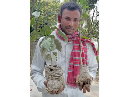 abdur-razzak-tree-lover.jpg