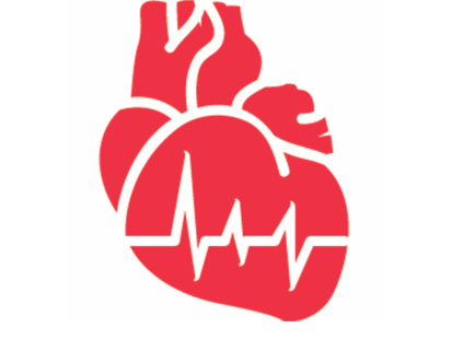 Human Heart