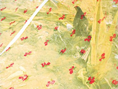 landlessness_2.jpg