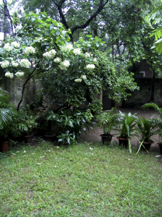 untitled-9.jpg