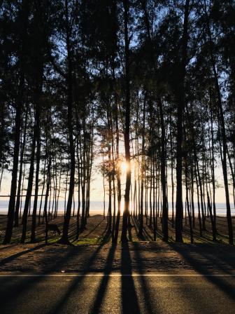 Making the most of your travel photography