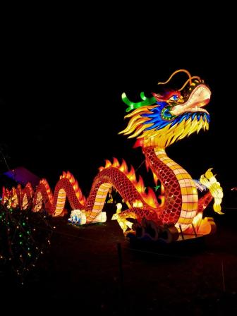 7 must-visit festivals happening in 2023