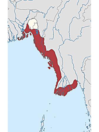 sandwip-1.jpg