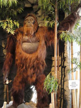 ape-new.jpg