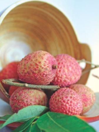 fruits