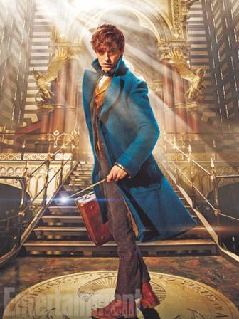 Harry Potter hero